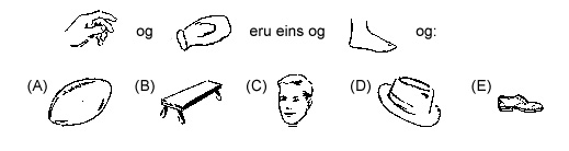 d43 - Hver er greindarv&iacute;sitala &thorn;&iacute;n?