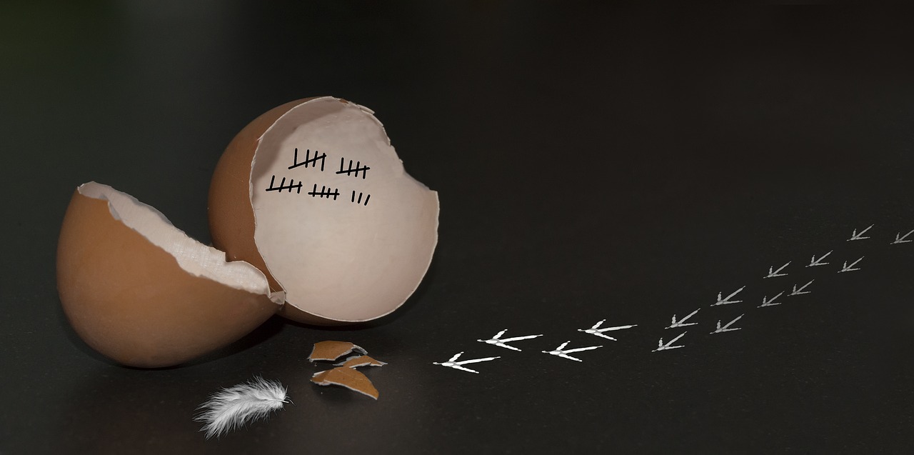 personality 1521759991 - Hvernig persónuleiki ert þú?